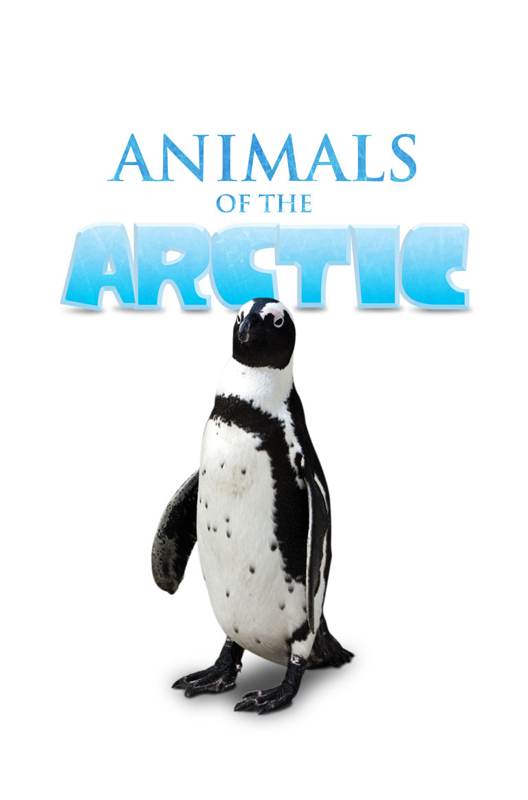 Animals of the Arctic